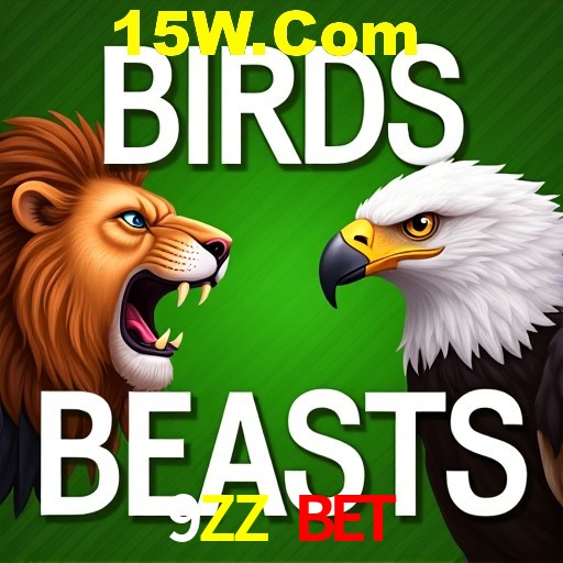 9ZZ Bet Rio de Janeiro - Bonus Terms